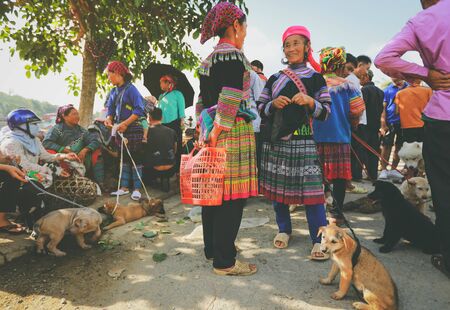 Bad ha, Vietnam - July 7, 2019 : Hmong women selling dogs in Bac Ha market, Northern Vietnam. Bac Ha is hilltribe market where people come to trade for goods in traditional costumesのeditorial素材