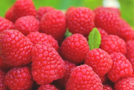 Selective focus on ripe raspberries with nature background. Healthy eating conceptの写真素材