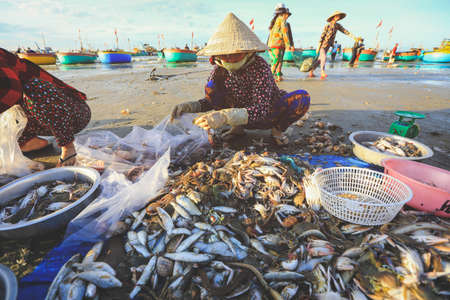 Mui ne - Vietnam - January 22, 2019 : Local vendors are collecting fishes and shelles at famous fishing village in Mui ne, Vietnamのeditorial素材