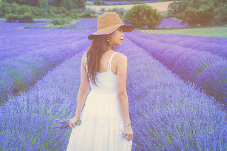 Woman in white dress and hat back view walking  on the lavender fieldの写真素材