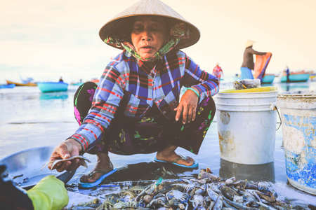 Mui ne, Vietnam - January 22, 2019 : Local vendor is collecting fishes and shells at famous fishing village in Mui ne, Vietnamのeditorial素材