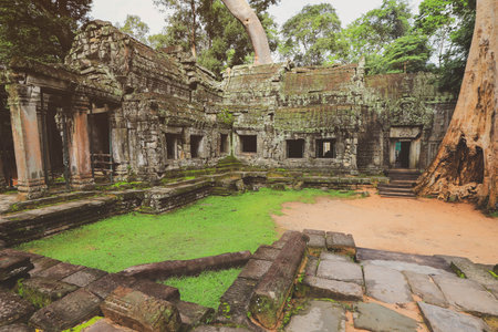 Angkor Wat temple in Cambodia. Ancient temple complex Angkor Watの写真素材