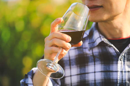 Selective focus on wine glass, man holding red wine glass with green nature background, celebration conceptの写真素材