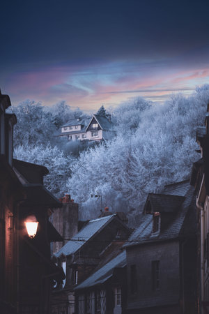 Facade of typical buildings in the old town with snow on tree on the hill in Honfleur, France.