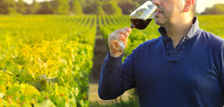 Selective focus on wine glass, man holding red wine glass with green nature background, celebration conceptの写真素材