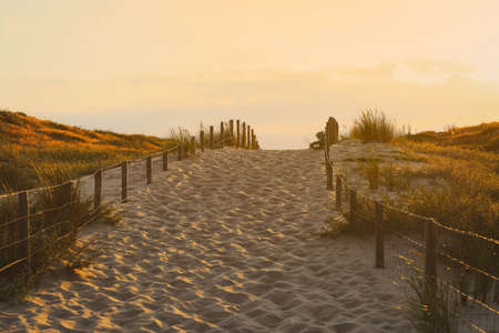 wooden foot path way to the sandy beach at sunsetの写真素材