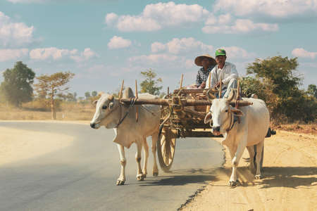 Bagan, Myanamr - Fabruary 3, 2017: Burmese rural man driving wooden cart on road drawn by two white buffaloes. Rural landscape and traditional village life in Burma countrysideのeditorial素材