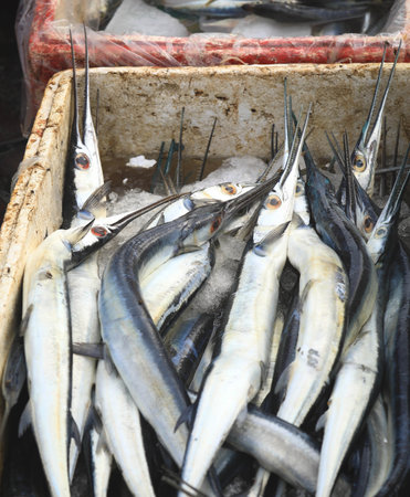 Fresh ribbonfish (Trichiurus lepturus) are on sale at seafood market in Baliの写真素材