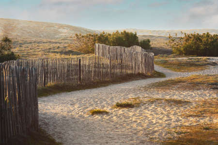 View to a dune with wooden fence  in vintage styleの写真素材