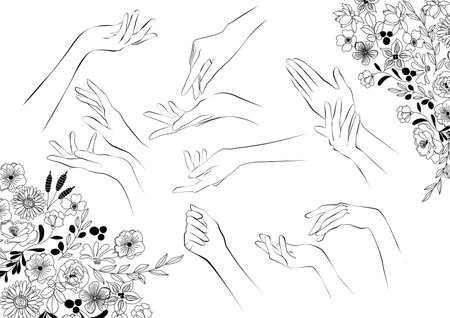 <p>Beautiful hands, line art, simple lines</p>のイラスト素材