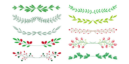 Set of botanical illustrations Simple, natural and botanical linesのイラスト素材