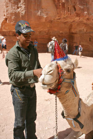Petra, Jordan- DECEMBER 8, Happy Camel face with local desert guide on December 8, 2009 in Petra Jordanのeditorial素材