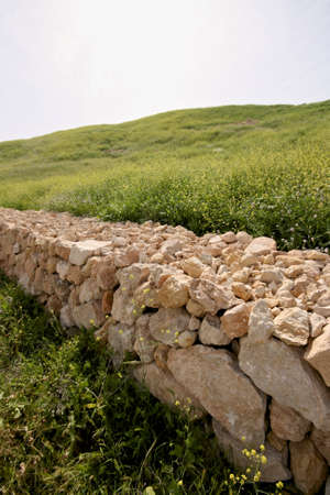 Old stone fence in beautiful green fieldの写真素材
