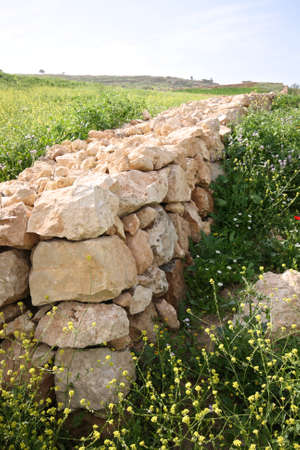 Old stone fence in beautiful green fieldの写真素材