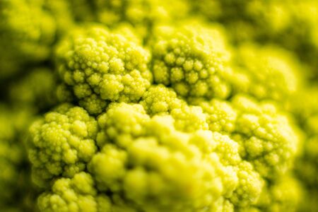 Detail image of broccoli flower in macro photographyの写真素材