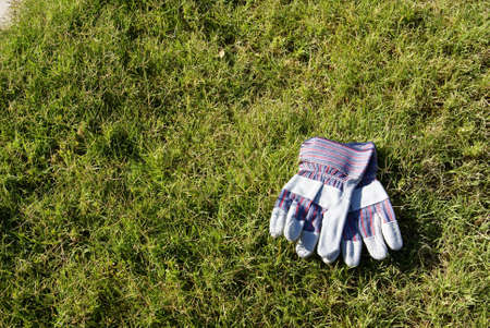 Leather garden work gloves laying in the grass.の写真素材
