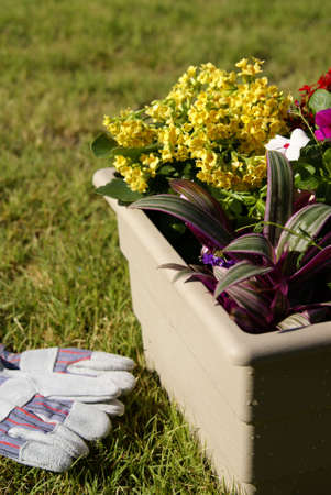 Container garden filled with tropical plants of various colors and textures.の写真素材