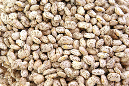 Dried pinto beans for use as a background or textureの写真素材