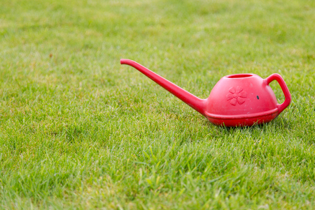 Watering can on grassの写真素材