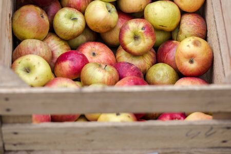 Handpicked organic apples in wooden boxの写真素材