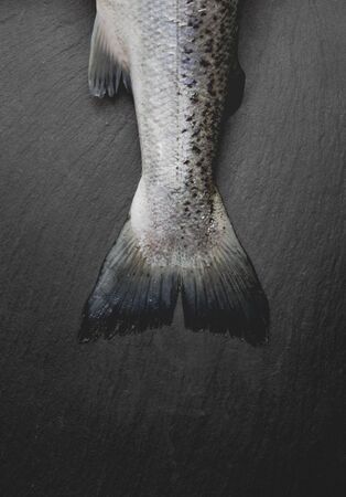 Gutted salmon tail still life dark background on stone chopping board