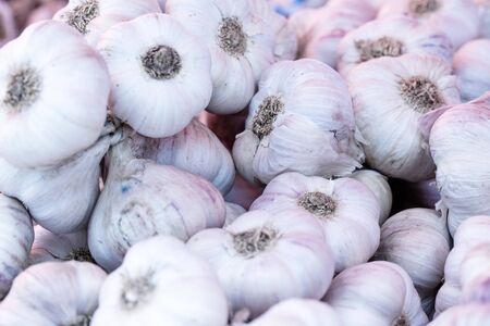 Different types of garlic on food marketの写真素材