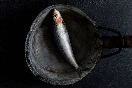 Still life sardines on dark rustic background in natural light, top viewの写真素材