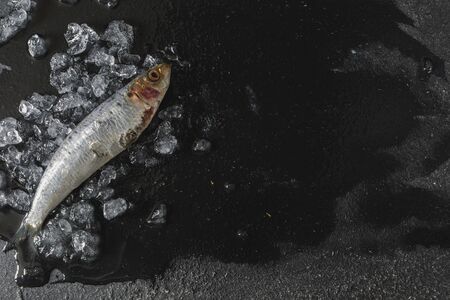 Still life sardines on dark rustic background in natural light, top view