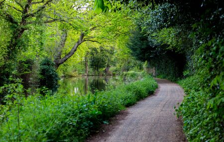 Walkpath at water channels in Surrey green area outside of the town and car trafficの写真素材