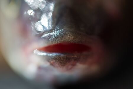 Open fish lips extreme macro crop with shallow depth of fieldの写真素材