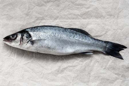 Fresh whole silver sea bass on vintage old parchment. Horizontal top view crop with text spaceの写真素材