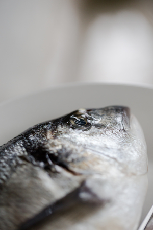 Fresh raw sea bream guttedon chopping board with silver knife ready to be cooked. Horizontal close up cropの写真素材