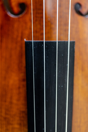 Focus on violin strings over fingerboard body belly. Top view, detailed macro. Full frame crop