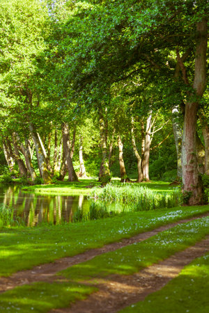 Hiking path at water pond, lake in Albury, Guildford, Surrey, England, UK. Spring time with green trees, green grass surroundingの写真素材