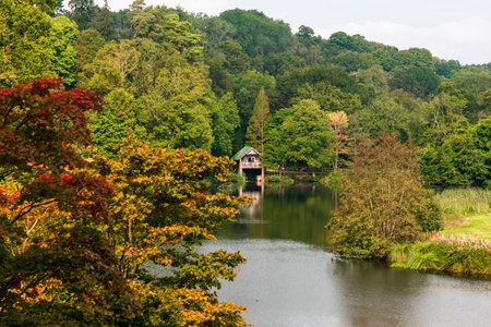 Autumn season in Winkworth Arboretum National Trust, Godalming, Surrey , Englandの写真素材