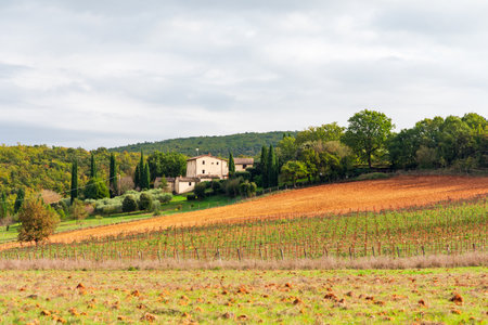 Scenic Tuscany countryside rural landscape in early autumn, Monteriggioni region, Tuscany, Italy. Colourful field in the foreground, cyprus trees and traditional Italian house in the background.の写真素材