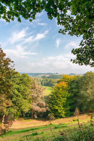 Autumn season in Winkworth Arboretum National Trust, Godalming, Surrey , Englandの写真素材