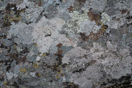 Earth background.の写真素材