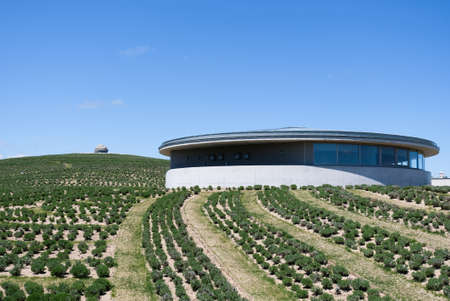 Hill of the buddha in Hokkaido,japan designed by Tadao Ando with nice blue sky and lavender fieldのeditorial素材