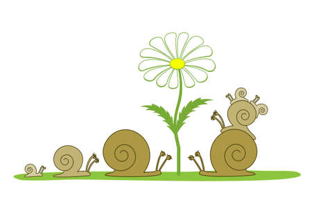 Two families of snails are walking under the flower, vectorのイラスト素材