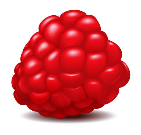 Raspberry isolated over white background.