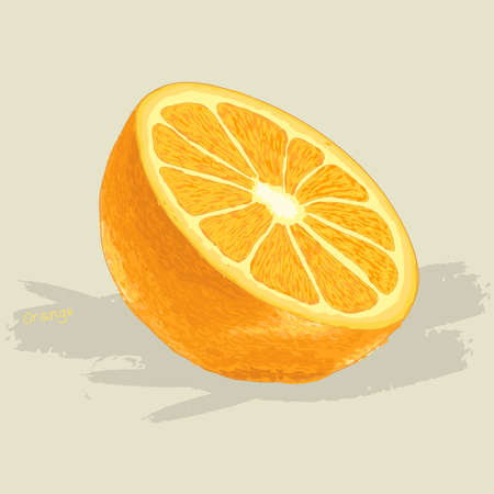 Hand drawn fresh orangeのイラスト素材