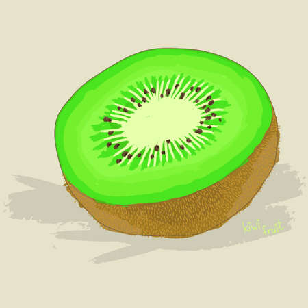 Hand drawn fresh kiwi fruitのイラスト素材