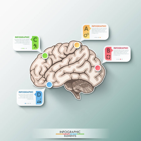 Modern Infographic Options Bannerのイラスト素材