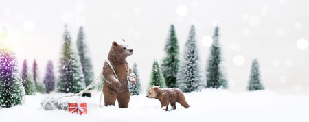 Christmas polar and grizzly bears in Snowy Winter Forest - Christmas Cardの写真素材