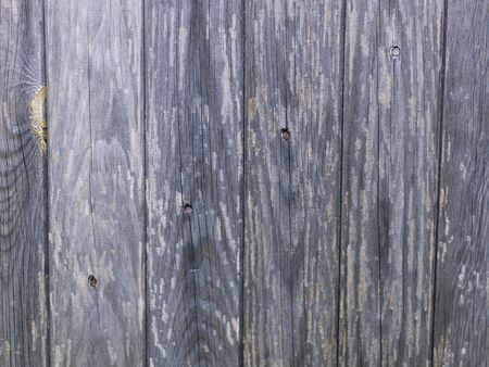 wood background textureの写真素材