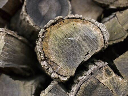 wood background textureの写真素材