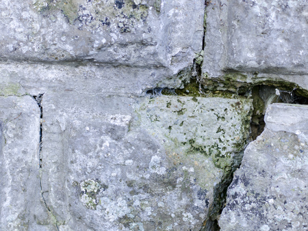 stein, beton hintergrund texturの写真素材