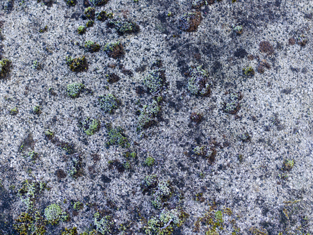 stein, beton hintergrund texturの写真素材