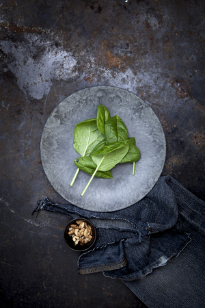 Baby spinach sheets on black backgroundの写真素材